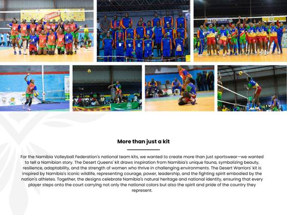 Falka case study 1