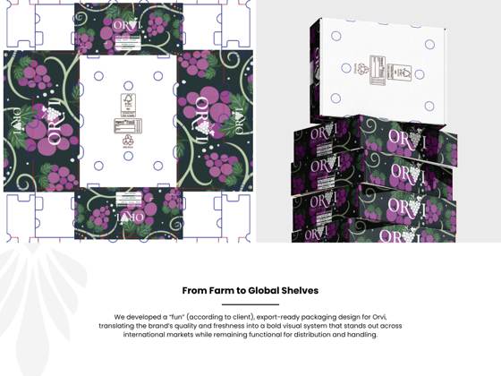 Falka case study 3