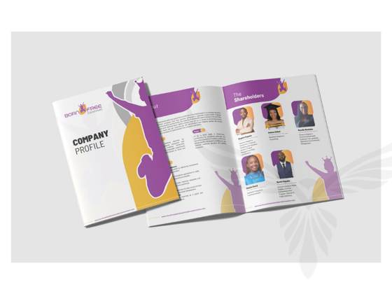 Falka case study 10